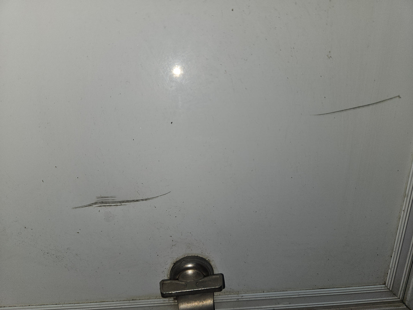 Cargo door