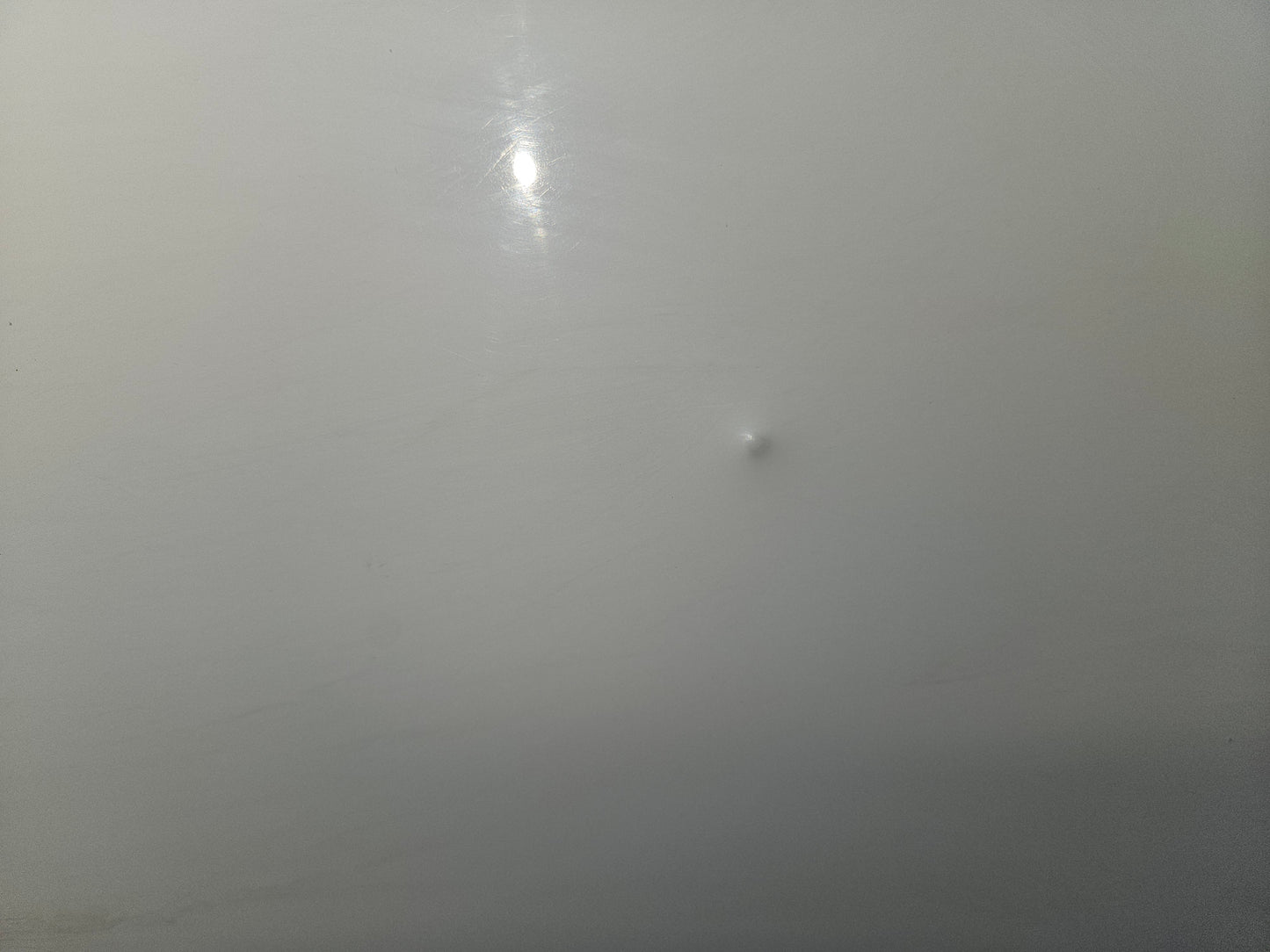 Cargo door