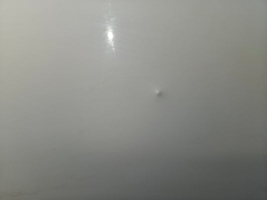 Cargo door